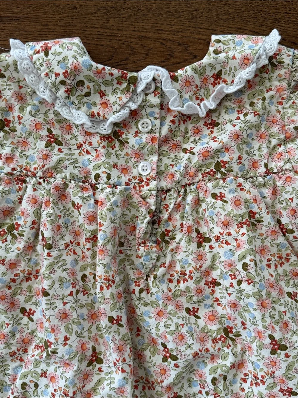 Cecil And Lou Floral Lace Collar Dress